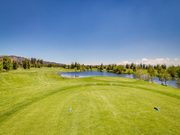Yosemite Area Home 984745