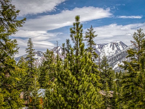 Yosemite Area Home 984747