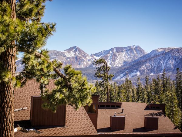 Yosemite Area Home 984749
