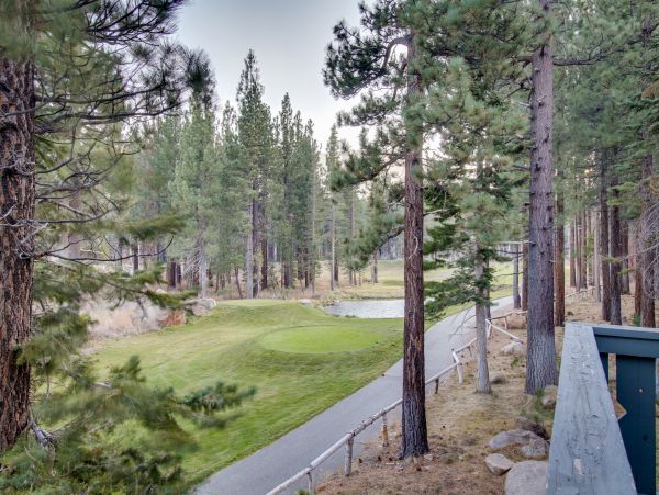 Yosemite Area Home 984755