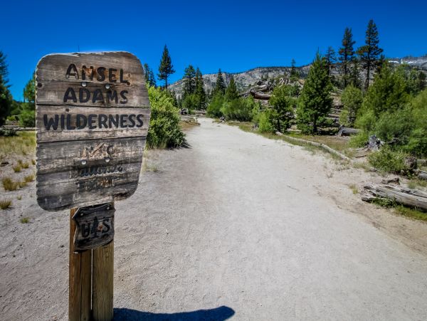 Yosemite Area Home 984756