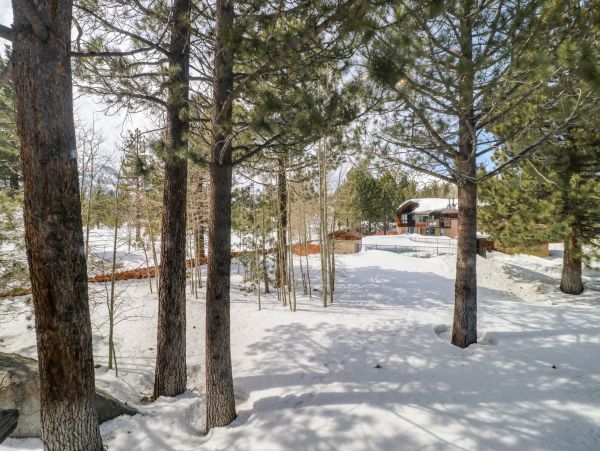 Yosemite Area Home 984764