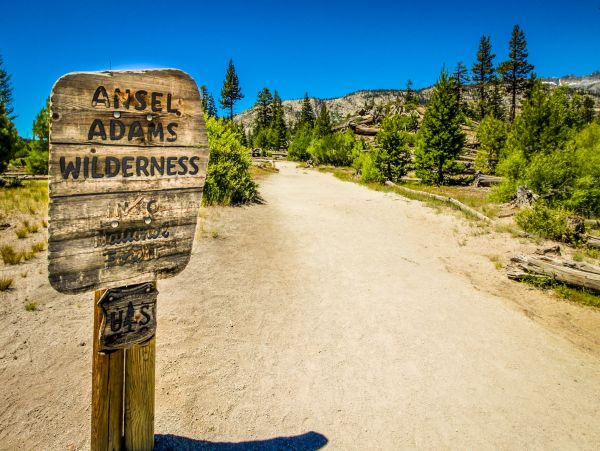 Yosemite Area Home 984767