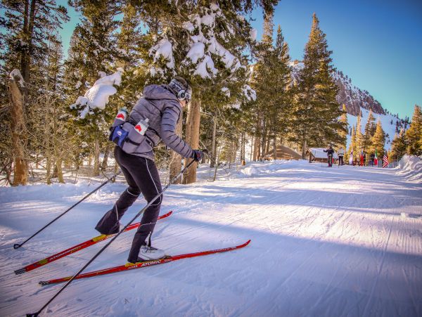 Yosemite Area Home 984774