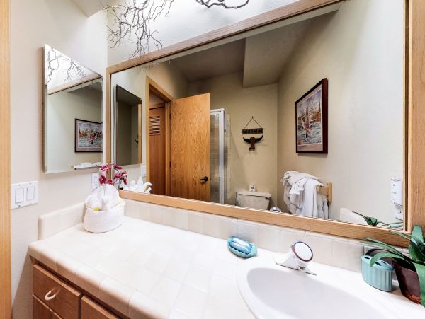 Yosemite Area Home 984776