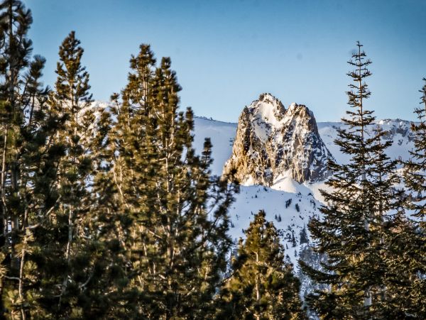Yosemite Area Home 984777