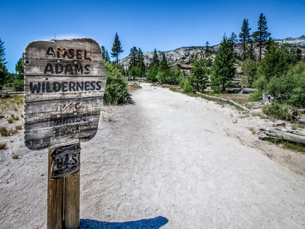 Yosemite Area Home 984777