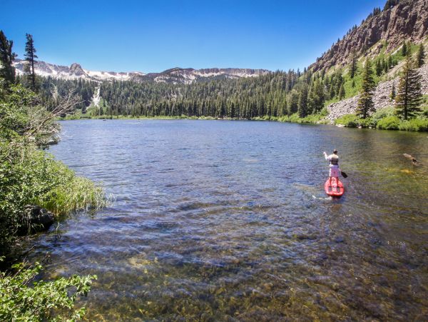 Yosemite Area Home 984779
