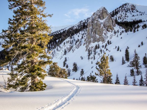Yosemite Area Home 984779