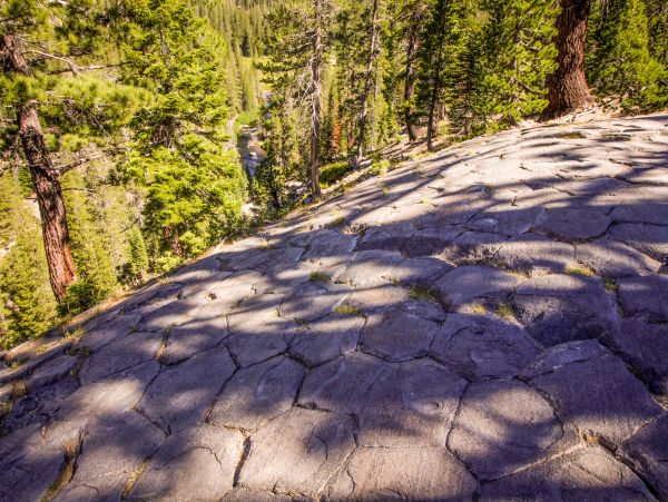 Yosemite Area Home 984779