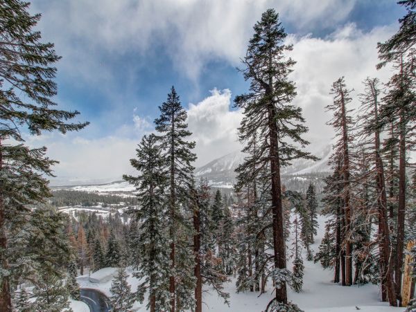 Yosemite Area Home 984781