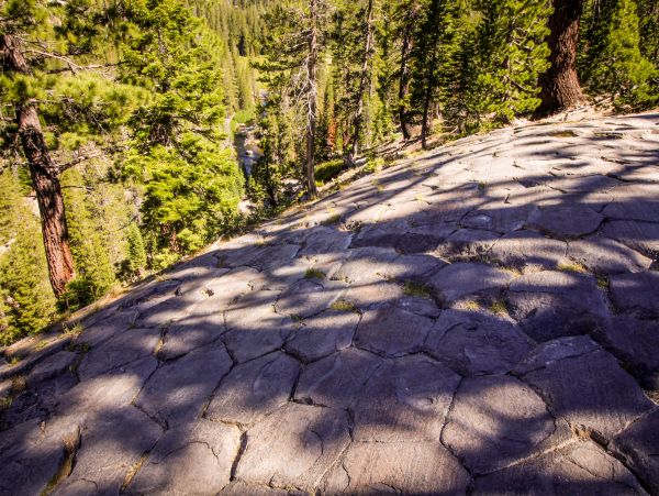 Yosemite Area Home 984782