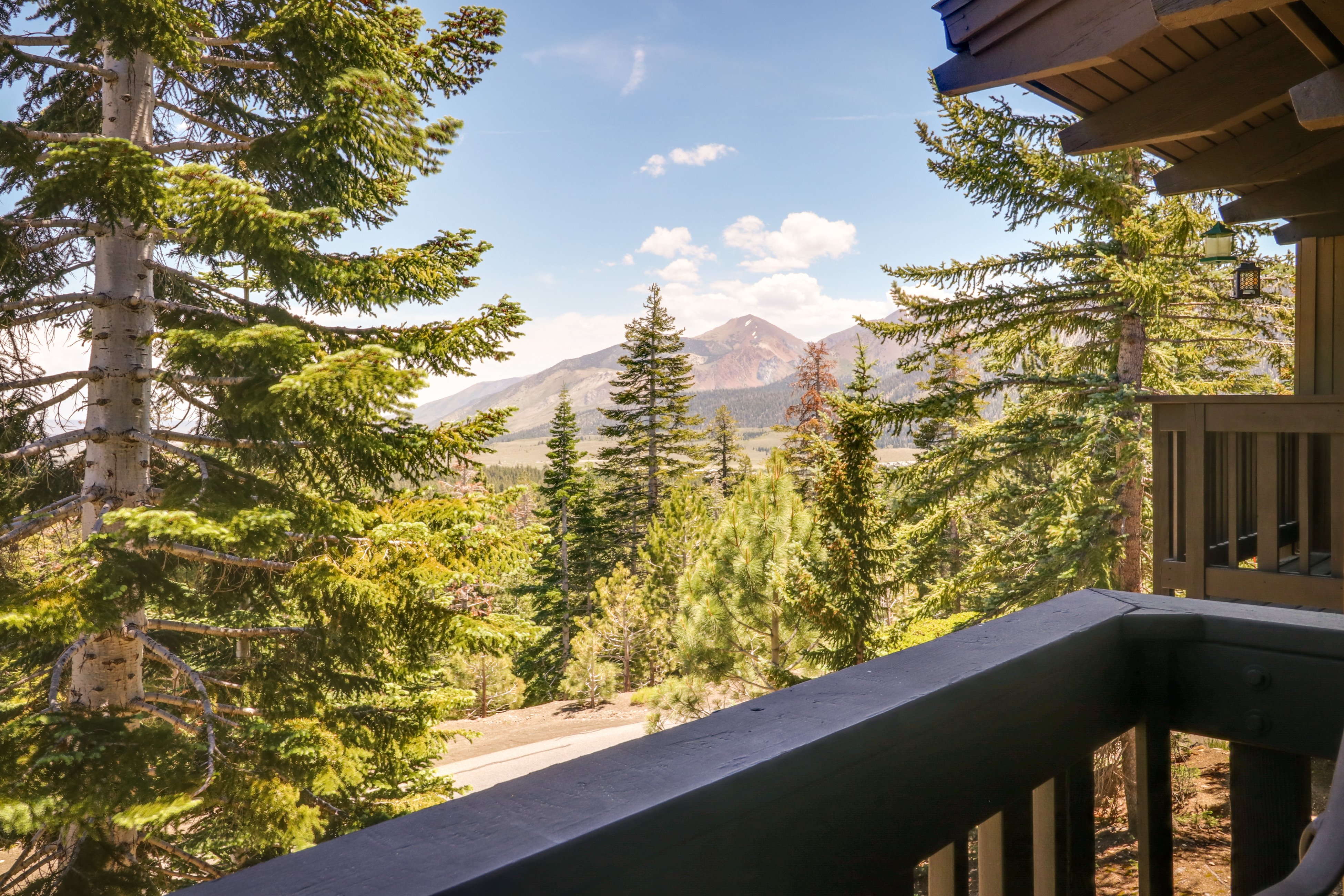 Yosemite Area Home 984786