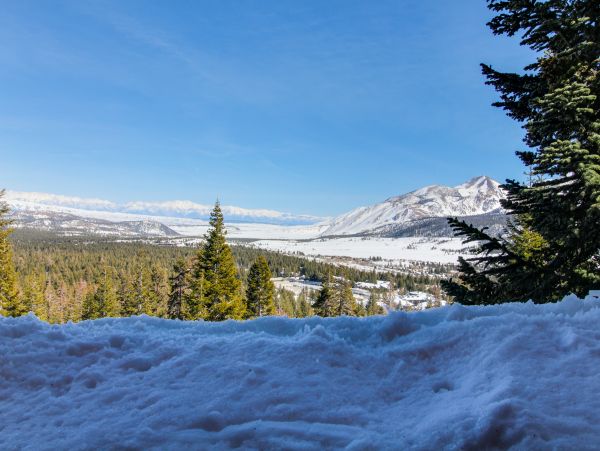 Yosemite Area Home 984797