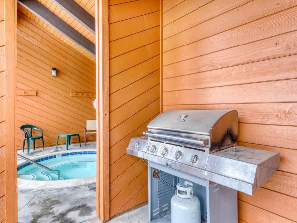 Yosemite Area Home 984798