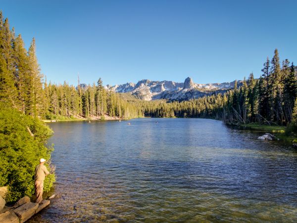Yosemite Area Home 984798