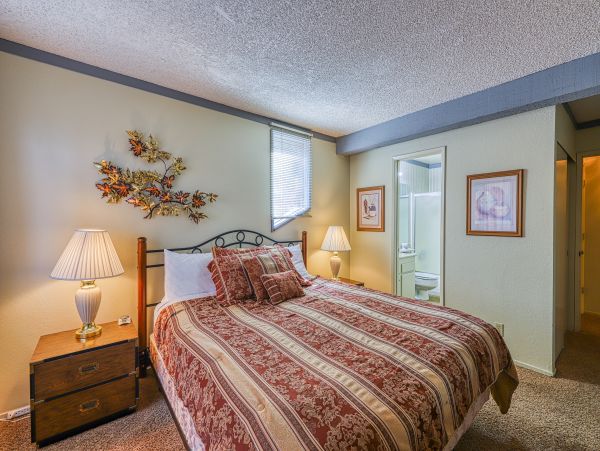 Yosemite Area Home 984799