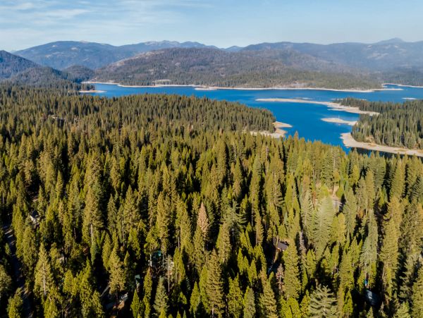 Yosemite Area Home 984802