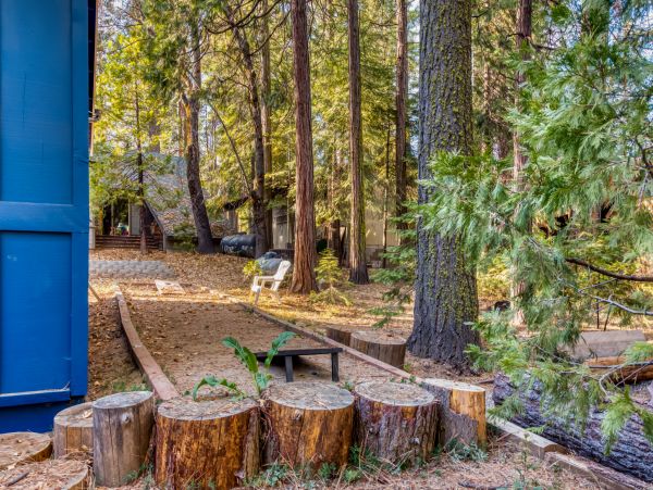 Yosemite Area Home 984802