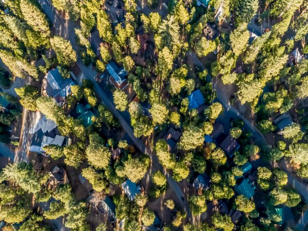 Yosemite Area Home 984802