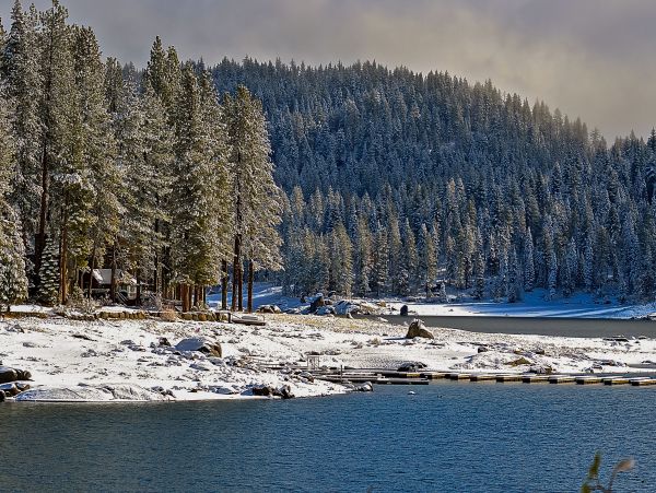 Yosemite Area Home 984802