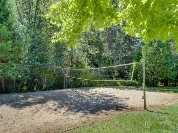 Yosemite Area Home 984804