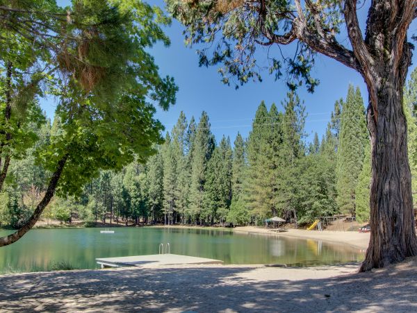 Yosemite Area Home 984804