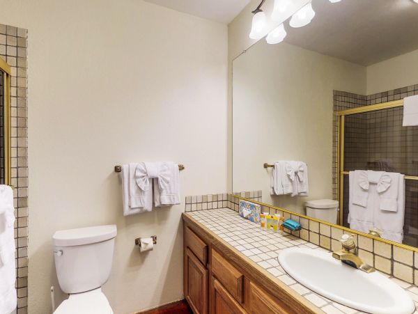 Yosemite Area Home 984805