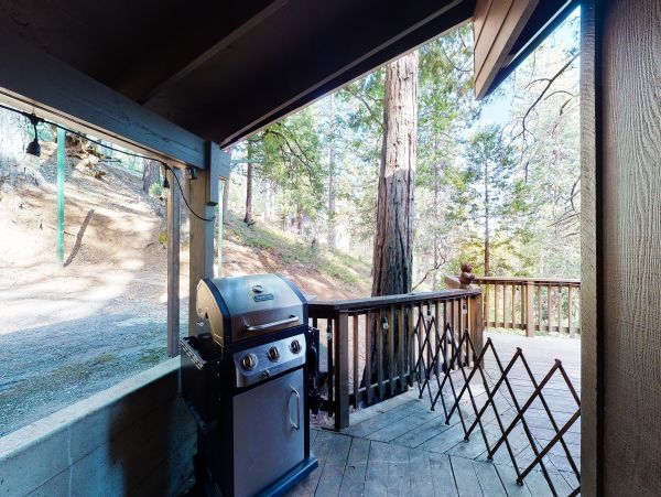 Yosemite Area Home 984812