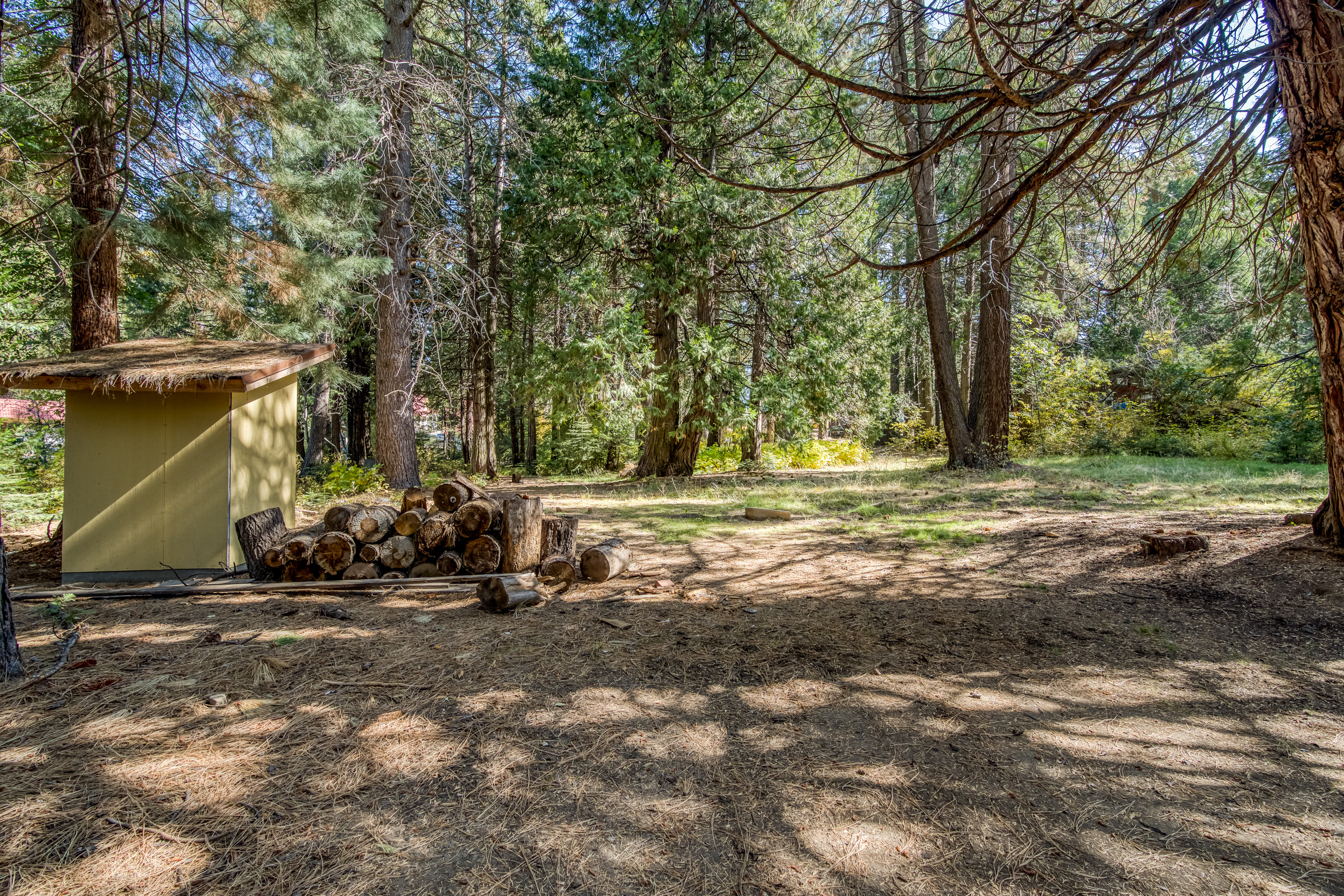 Yosemite Area Home 984813