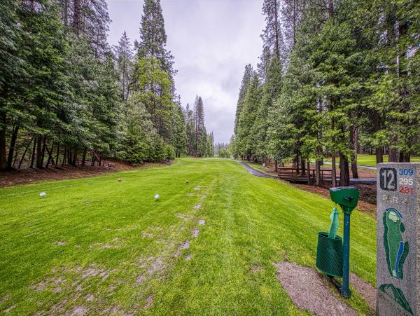 Yosemite Area Home 984814