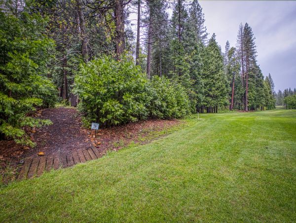 Yosemite Area Home 984814
