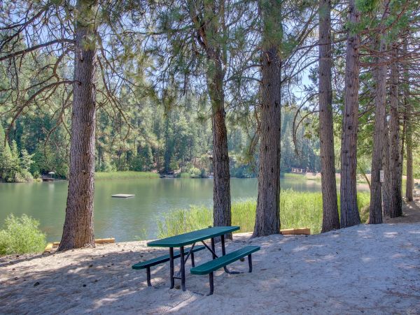 Yosemite Area Home 984814