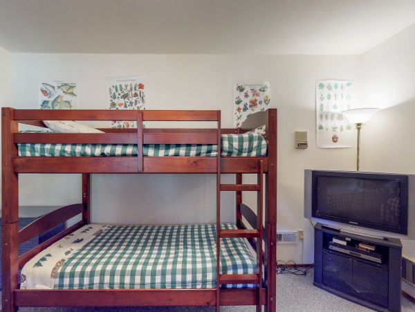 Yosemite Area Home 984816