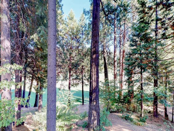 Yosemite Area Home 984816