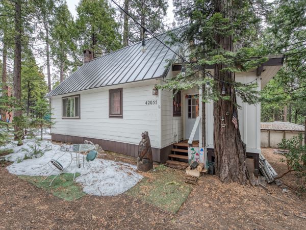 Yosemite Area Home 984818