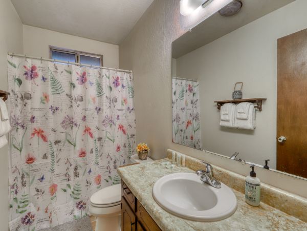 Yosemite Area Home 984819