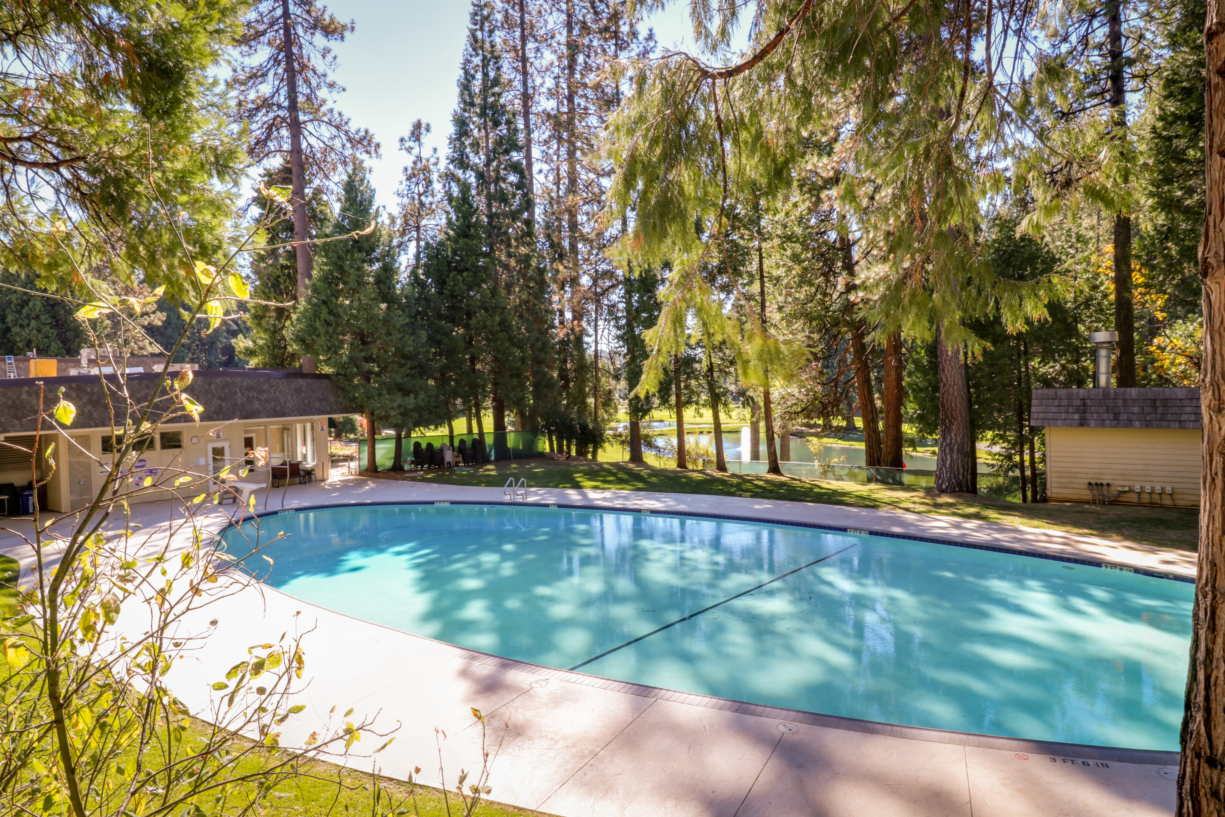 Yosemite Area Home 984821