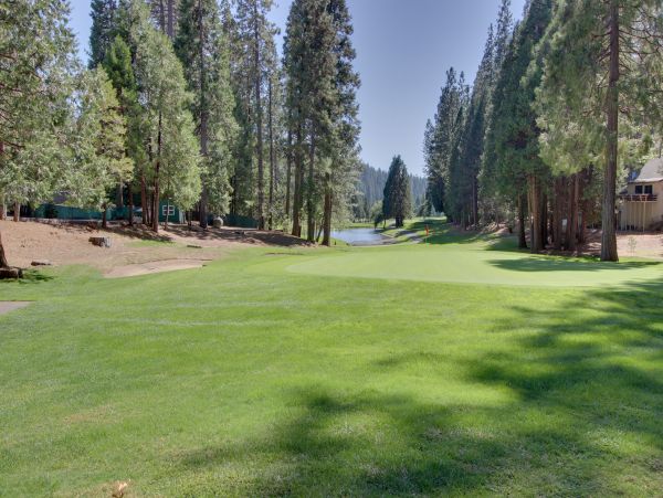 Yosemite Area Home 984821