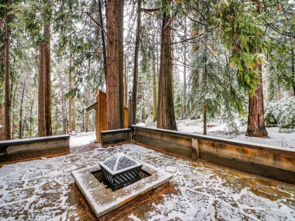 Yosemite Area Home 984822