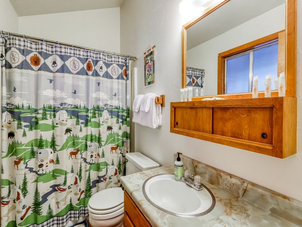 Yosemite Area Home 984824