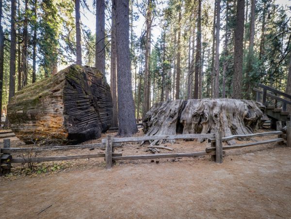Yosemite Area Home 984824
