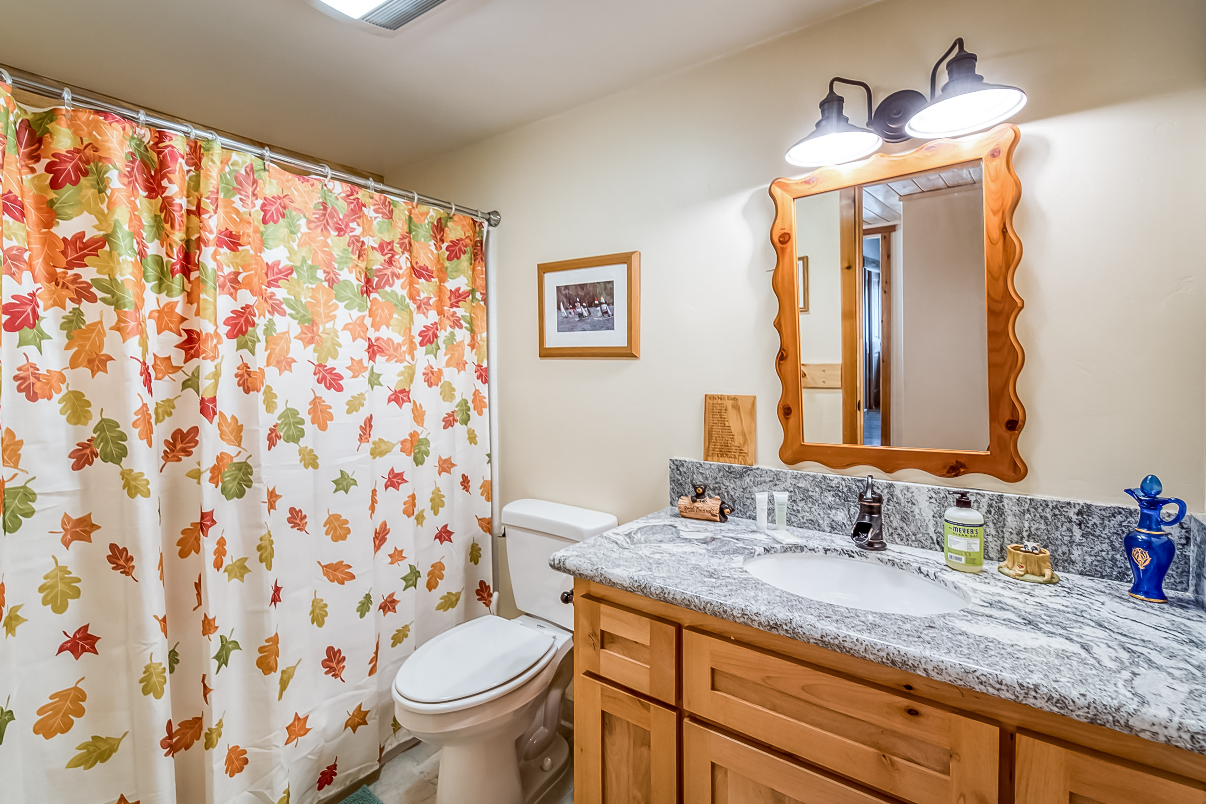 Yosemite Area Home 984825