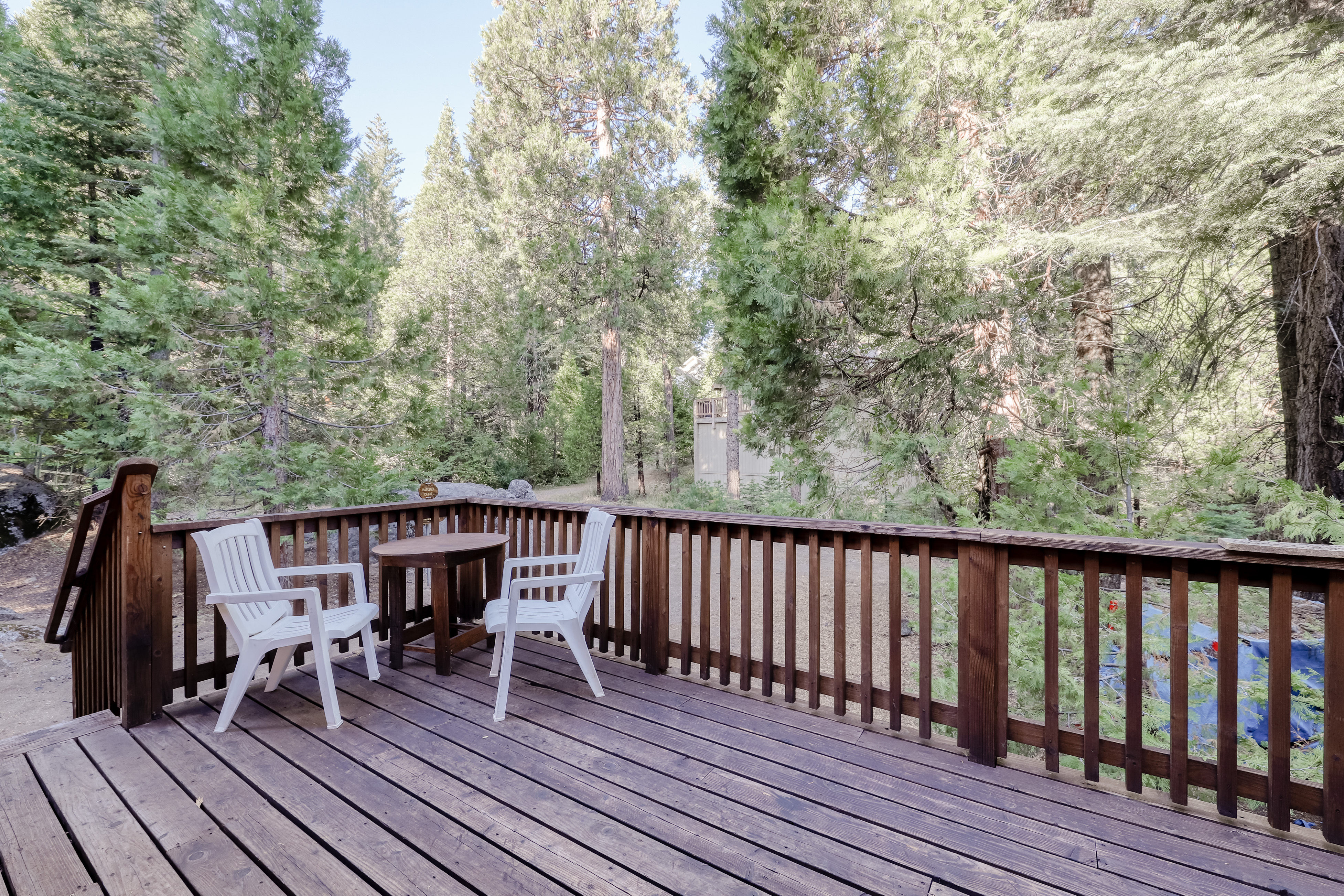 Yosemite Area Home 984829
