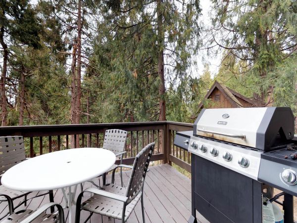 Yosemite Area Home 984831