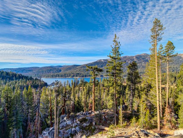 Yosemite Area Home 984834