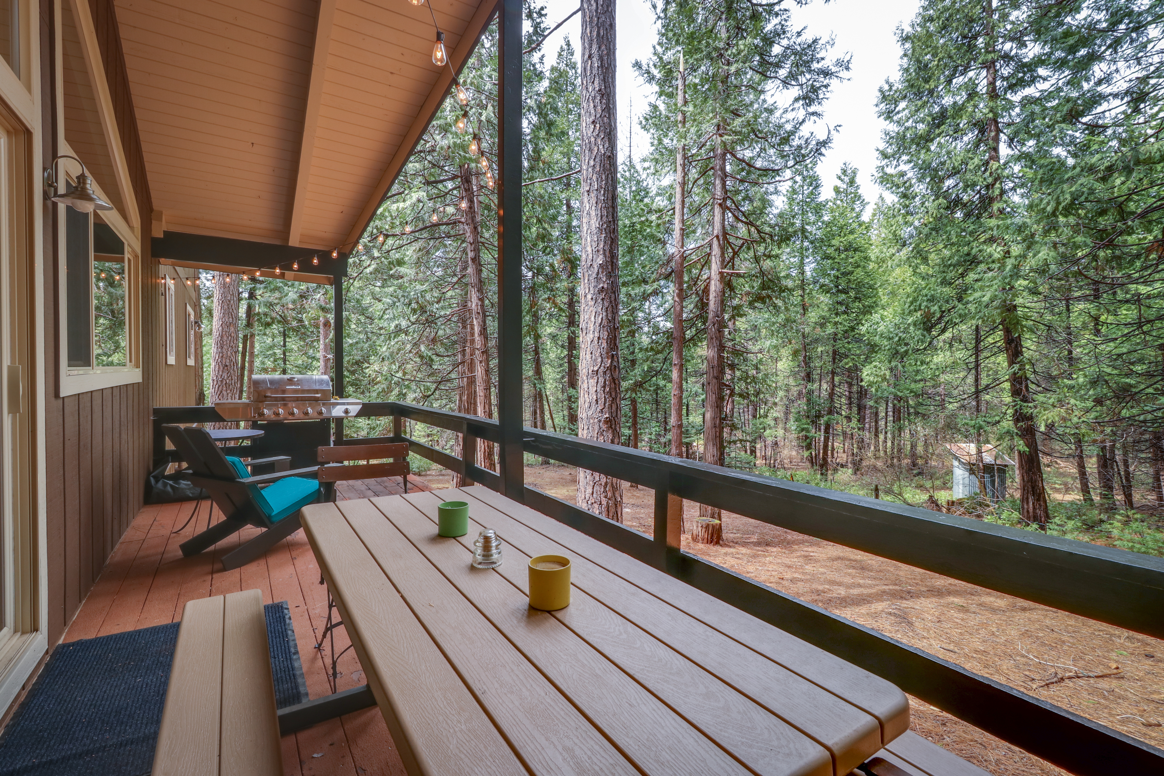 Yosemite Area Home 984835