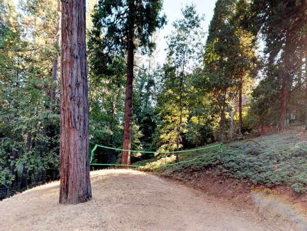 Yosemite Area Home 984837