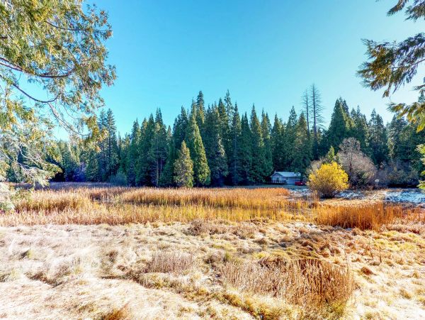 Yosemite Area Home 984838