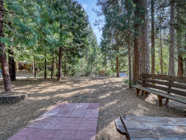 Yosemite Area Home 984839